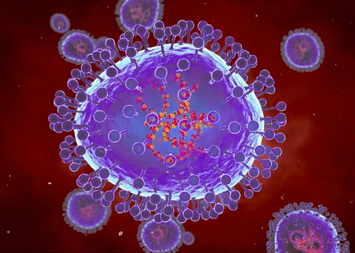 Latest company news about زيادة حالات الإصابة بفيروس HMPV بنسبة 36٪ في عام 2023: ارتفاع فيروسات Metapneumovirus البشرية
