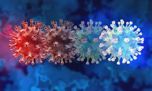 أخبار الشركة الأخيرة عن ملاحظة حول الكشف عن سلالات فيروس كورونا المستجد بواسطة ALLTEST BIOTECH