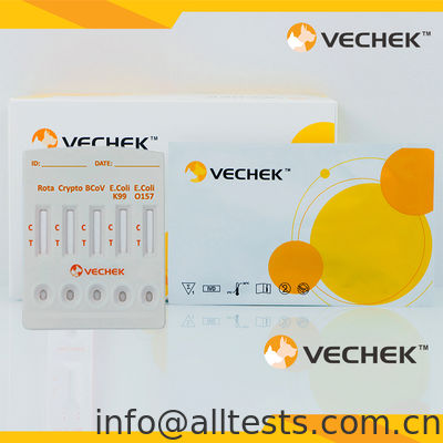 سعر جيد Rotavirus+Cryptosporidia+Coronavirus+E. Coli K99 +E. Coli O157 Antigen Combo Rapid Test Cassette (Feces) الانترنت