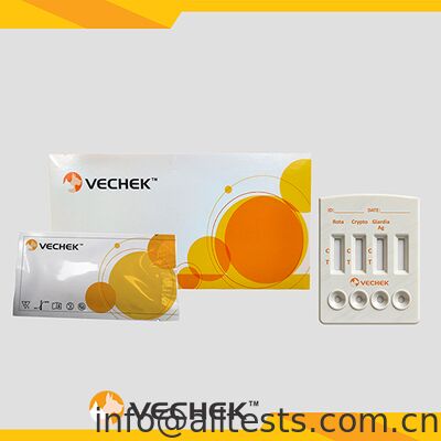 سعر جيد شريط اختبار سريع تركيبي لمستضدات فيروس الروتا والكريبتوسبوريديوم والجيارديا اللامبلية للبراز مع وقت قراءة 10 دقائق ودقة عالية الانترنت