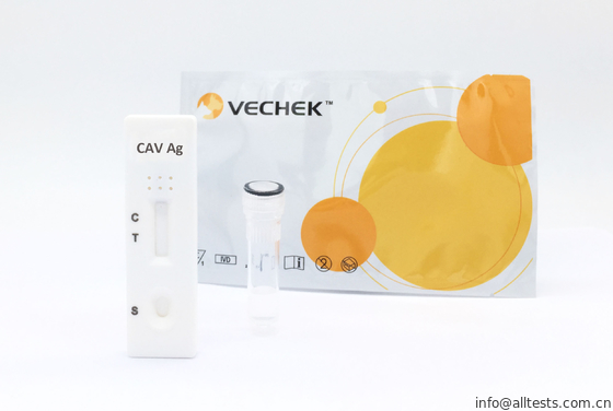 Good price كلاب Adenovirus Type - II Ag (CAV Ag) دقة تشخيص إختبار عدة كاسيت مع قراءة سريع الانترنت