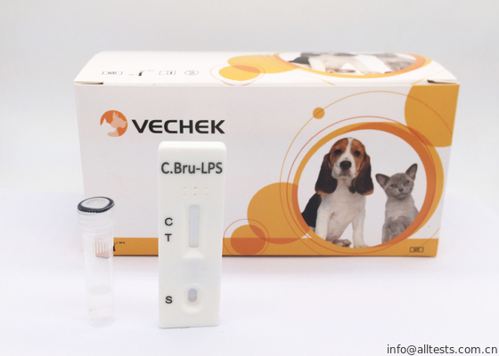 Good price C Bru - Lps كاسيت الأجسام المضادة السريعة أطقم اختبار وصلت نسبة الدقة 98 ٪ الانترنت