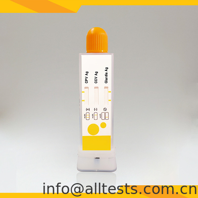 Good price مجموعة اختبارات التشخيص السريع لـ CPV CCV Giardia Lamblia في البراز الانترنت
