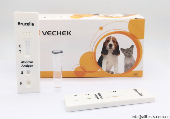 Good price البقري Brucella حج اختبار السريع كيت مع النوعية و الأولية الانترنت