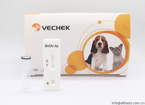 Good price Bvdv المستضد اختبار كاسيت سريع / اختبار كيت 24 شهرا الجرف الوقت الانترنت