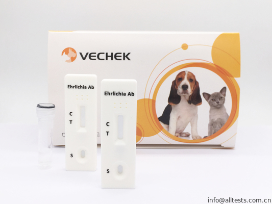 Good price Ehrlichia Canis الجسم المضاد السريع اختبار كاسيت ، اختبار سريع للدم سهل الاستخدام الانترنت