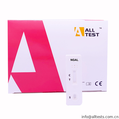 Good price العدلات المرتبطة بالجيلاتين (lipglin) المرتبطة بالجيلاتين (NGAL) الانترنت