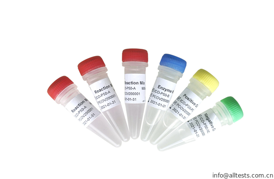 Good price الوقت الحقيقي Allchek SARS-COV-2 Rt Qpcr الفحص 200 نسخة / مل الانترنت